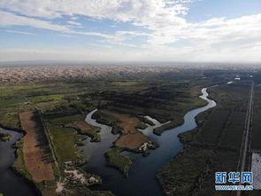 绿洲世界最新爆料新闻,神秘事件引发热议,真相即将揭晓! 第2张 绿洲世界最新爆料新闻,神秘事件引发热议,真相即将揭晓! 第2张